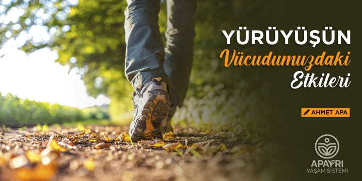 Yürüyüşün vücudumuzdaki etkileri